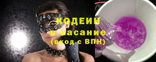 ГАЛЛЮЦИНОГЕННЫЕ ГРИБЫ Михайлов