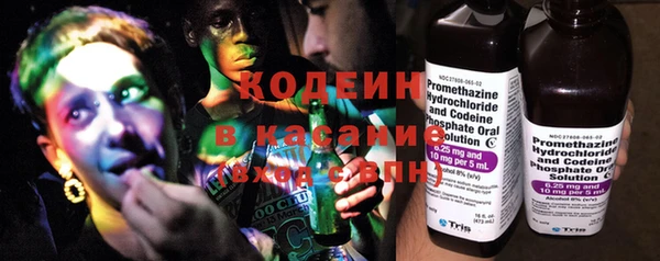 ГАЛЛЮЦИНОГЕННЫЕ ГРИБЫ Михайлов