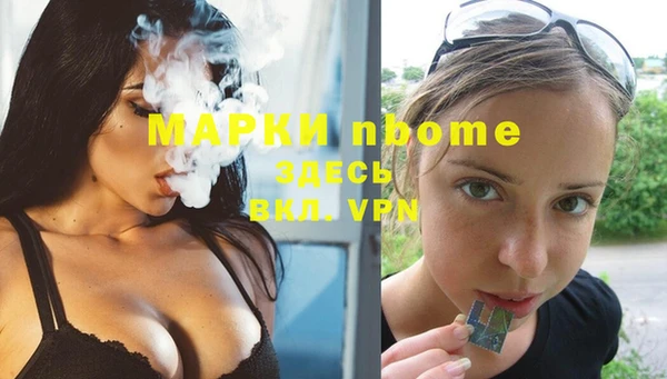 ГАЛЛЮЦИНОГЕННЫЕ ГРИБЫ Михайлов