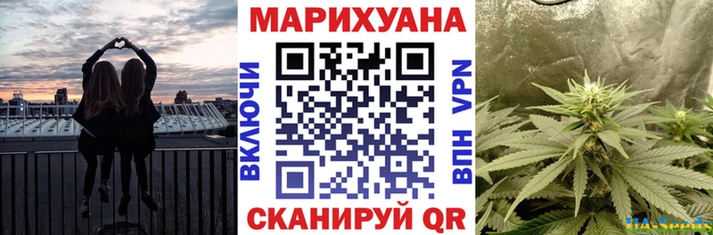 МАРИХУАНА Amnesia  Купить где  Новоузенск 